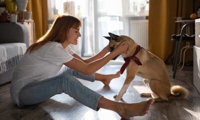 Tips And Tricks For Easier Dog Training