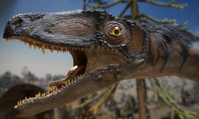 is What Dinosaur has 500 teeth
