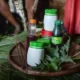 Traditional Healers in South Africa