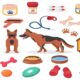 accessories for dogs