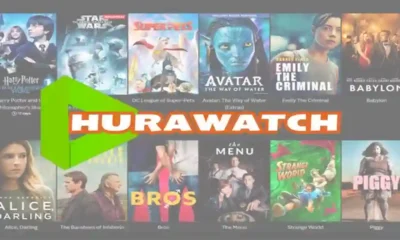 Hurawatch Stream